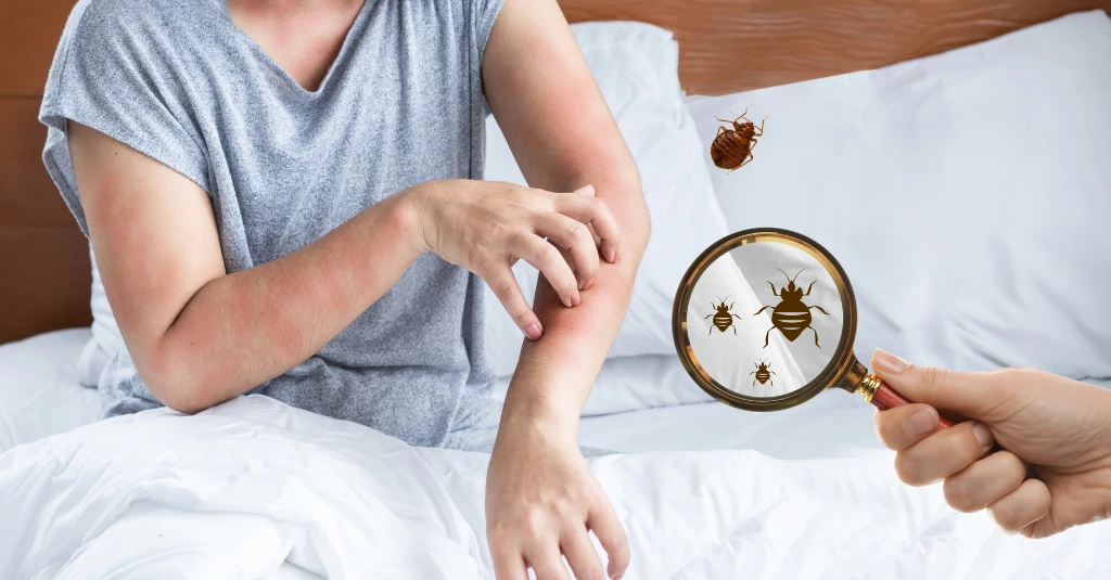 signs-you-have-a-bedbug-infestation-to-watch-for-you