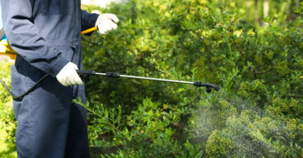 DIY vs. Professional Pest Control