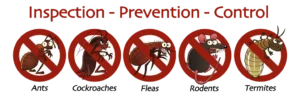 Advantages of Professional Pest Control