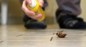 Benefits of DIY Pest Control