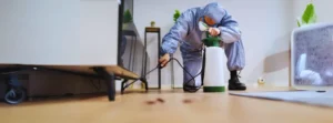 Factors Influencing Pest Control Charges in India